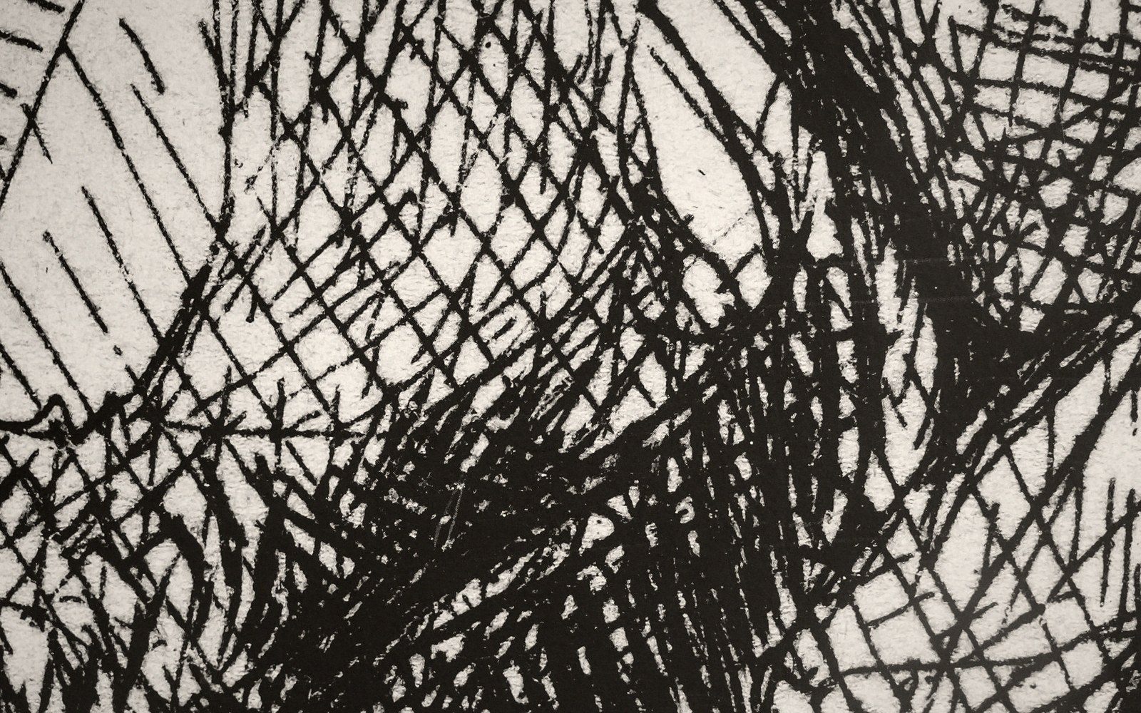 Opening plate for “What the Albertina Keeps in the Dark”