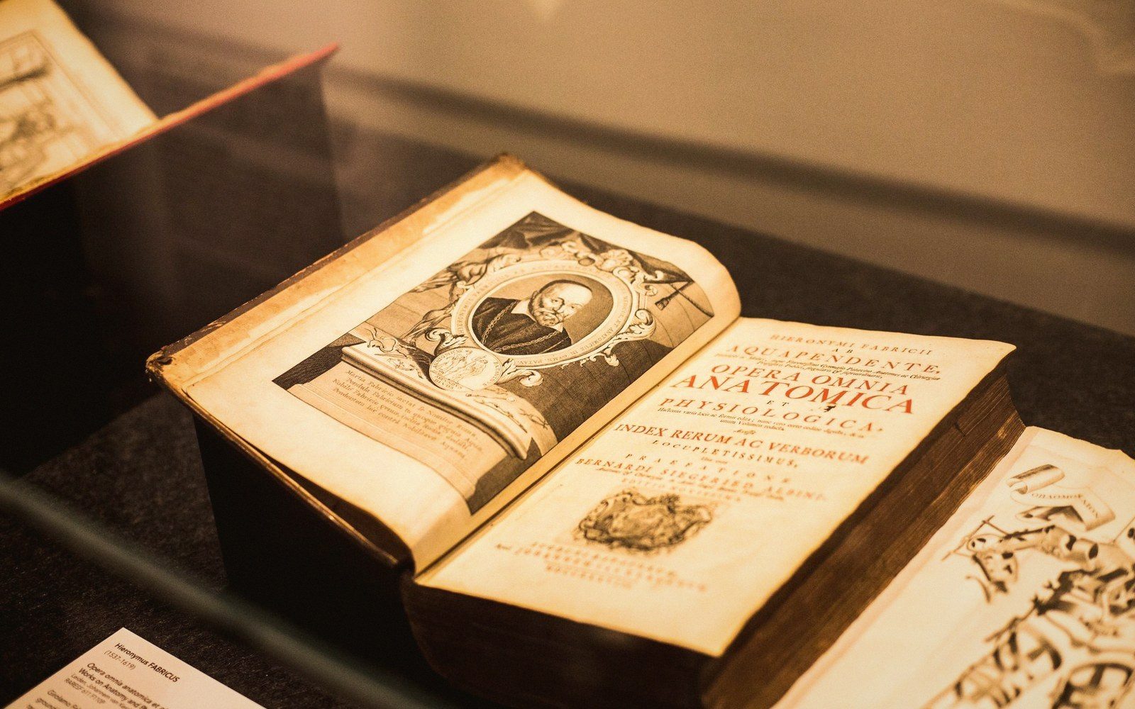 Opening plate for “Joseph II Commissioned Beautiful Models of Human Suffering”