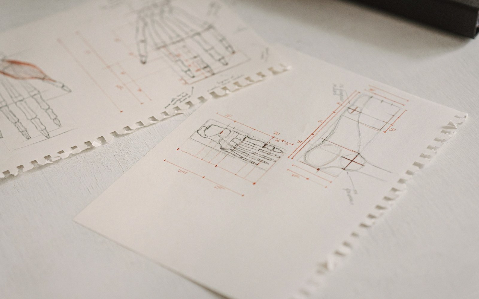 Opening plate for “Schiele's Line Is an Argument, Not a Style”