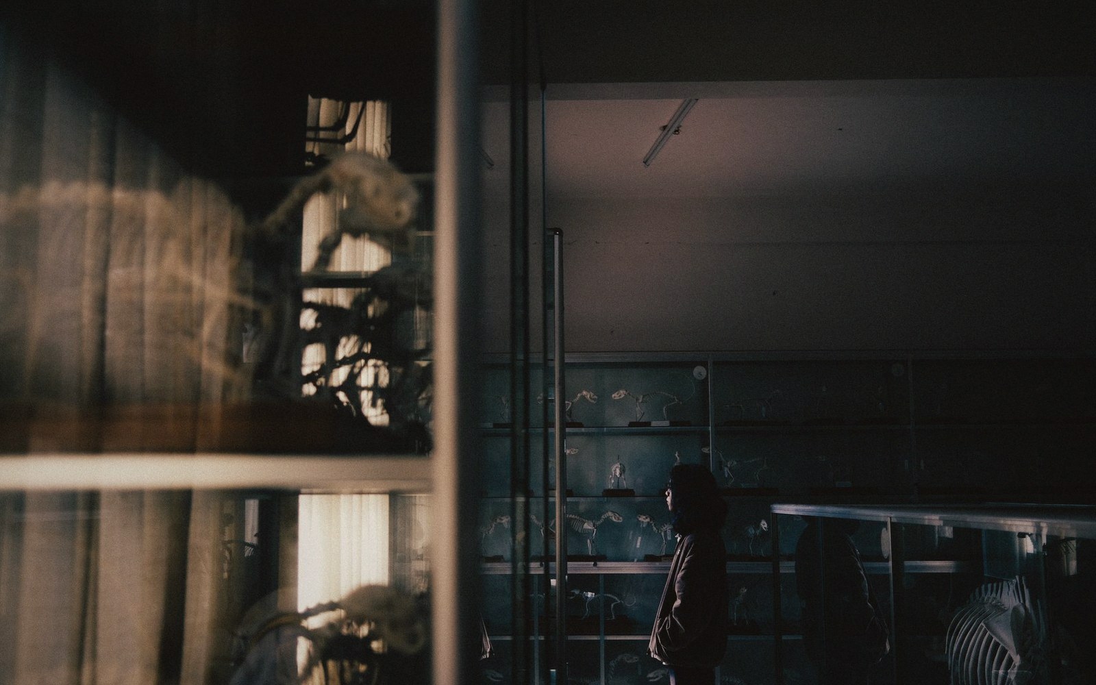Opening plate for “The Glass Case Is Not a Tomb”